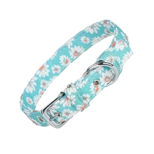 Floral Daisy Dog Collar