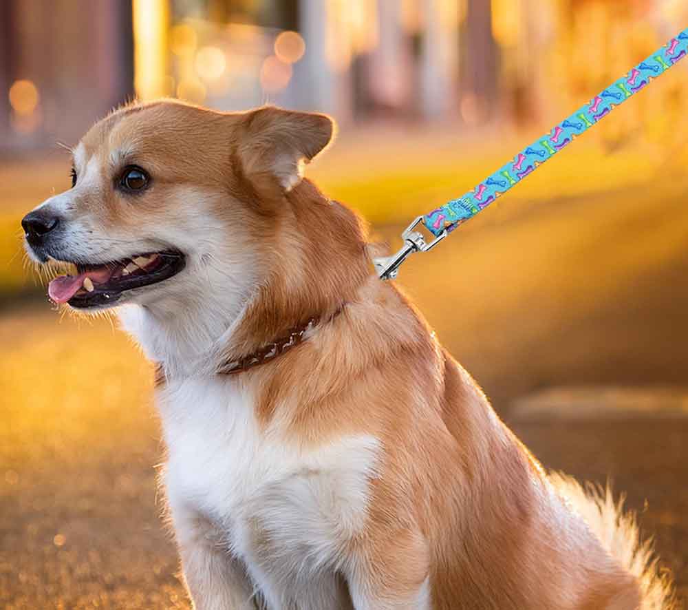 Gifts For Dogs-Dog Leads
