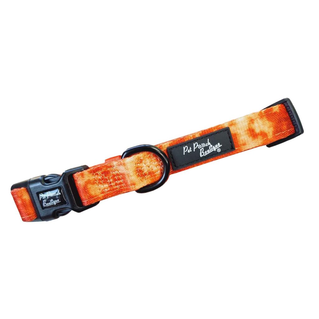 Dog Collar Orange Racer