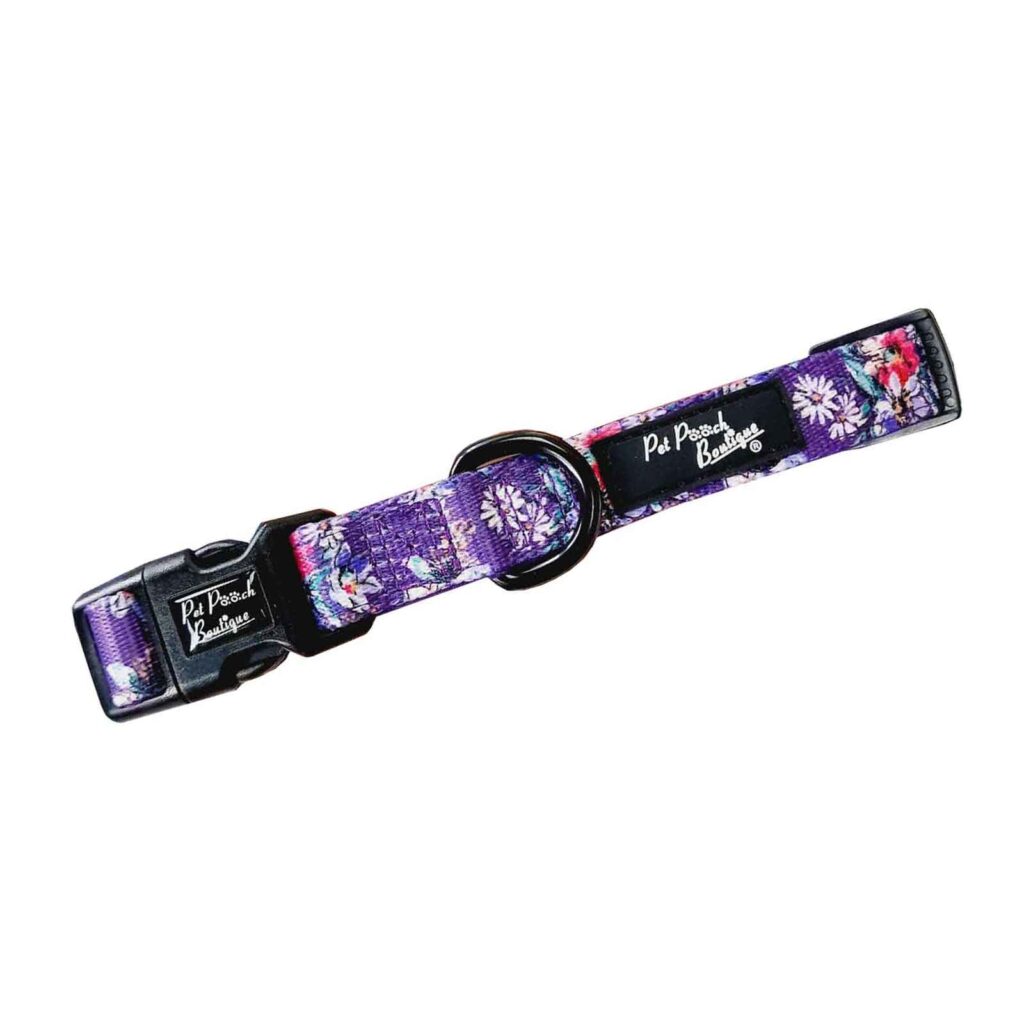 Dog Collar Purple Cowgirl