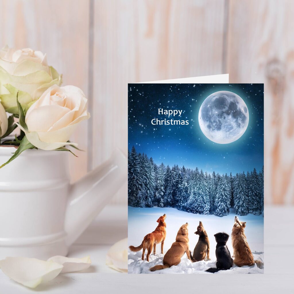 Christmas Card Moon Dogs