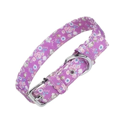 Vibrant Pink Dog Collar