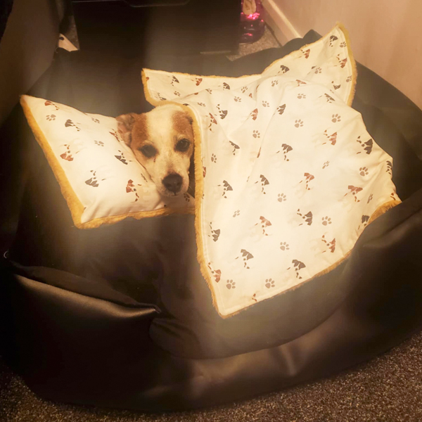 Gifts For Dogs Customer Minx