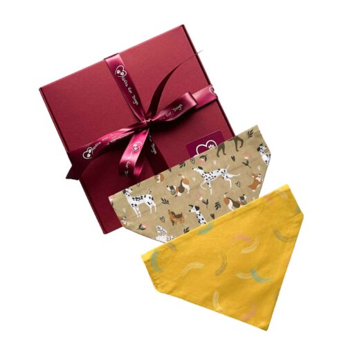Boxed Bandana Set TW01