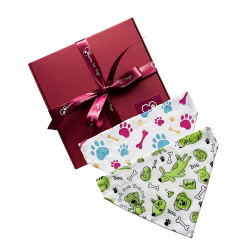 Boxed Bandana Set TW02