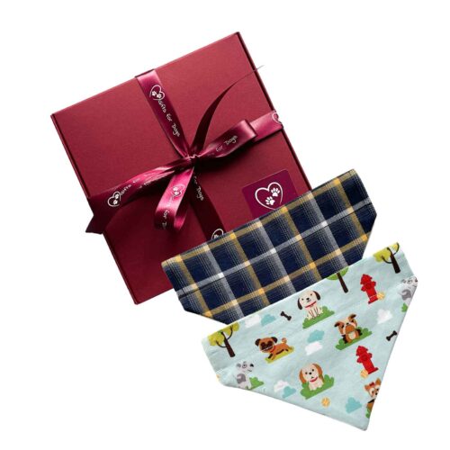 Boxed Bandana Set TW11