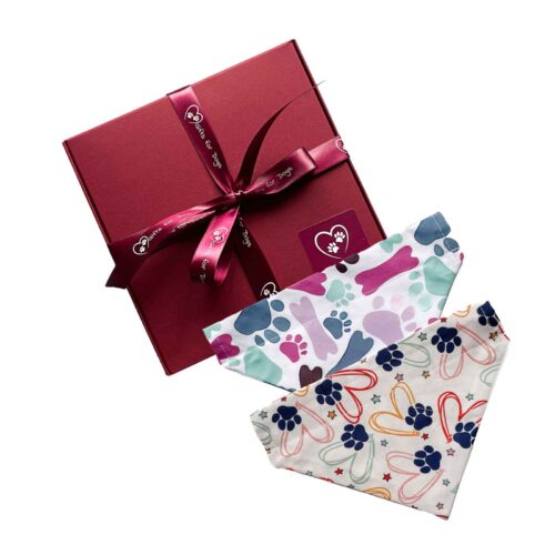 Boxed Bandana Set TW13